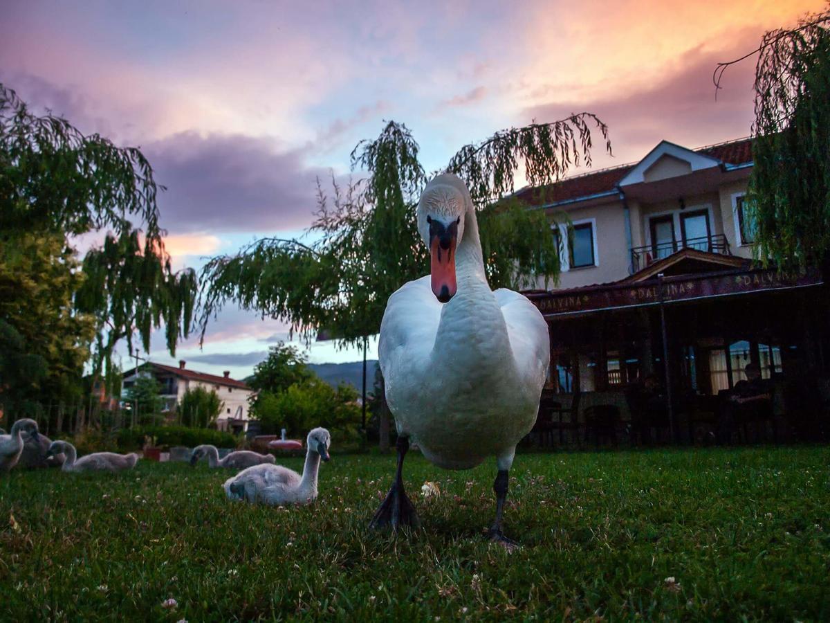 Galija Hotel Struga Bagian luar foto